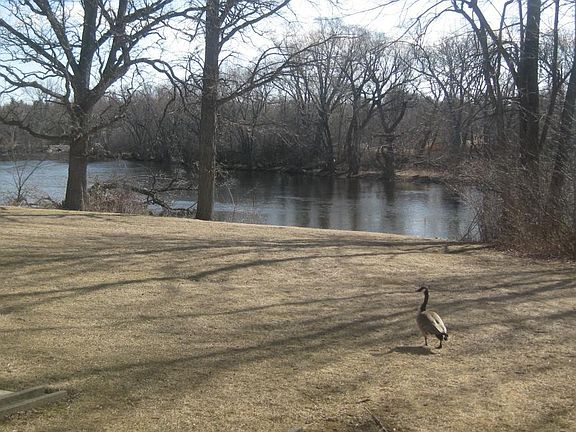 Beautiful River front walk out patio