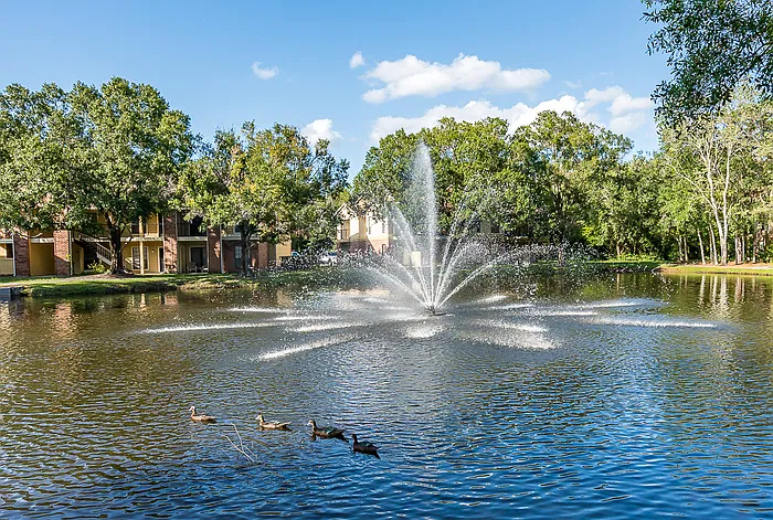 1 bed, 1.0 bath, $1,225 — Photo 4
