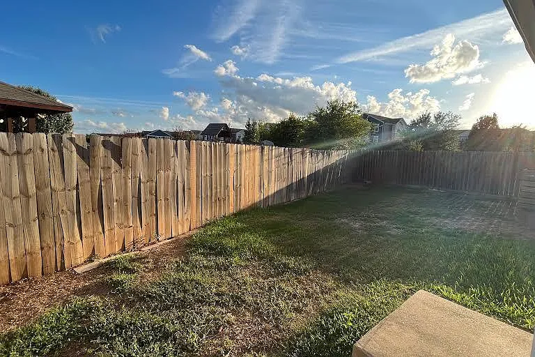 back yard