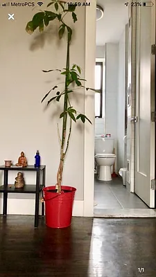 Rented by ERN Flats | media 4