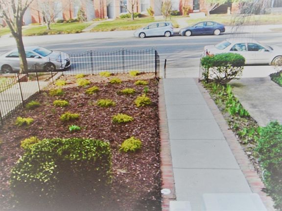 Front Yard