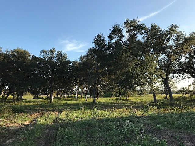 1st image of 000 County Road 135