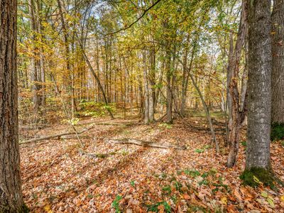 Old Logging Rd, Hersey, MI, 49639