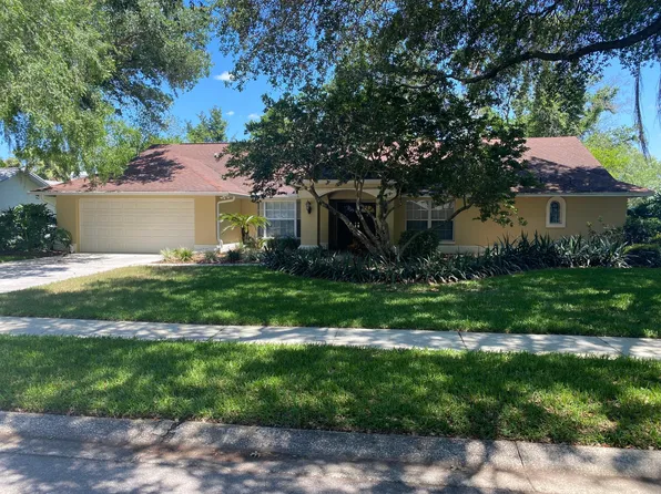 15911 Layton Ct, Tampa, FL 33647
