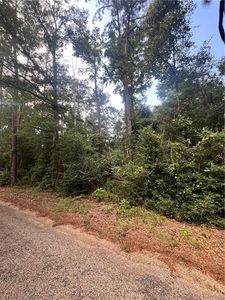 2.70 Bill Simmons Rd, Mount Hermon, LA, 70450