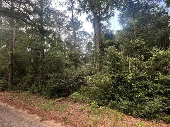 2.70 Bill Simmons Rd, Mount Hermon, LA 70450