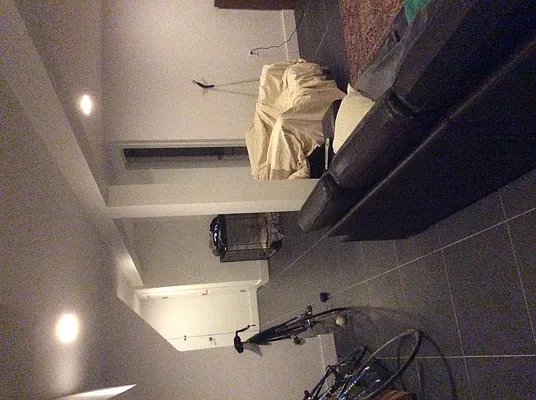 Rented by Soha LLC | media 73