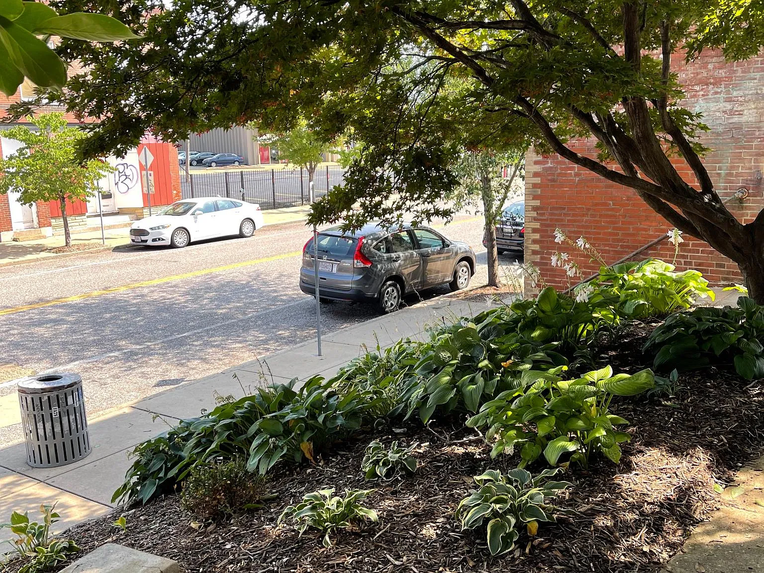 1 bed, 1000 sqft, $1,350 — Photo 3