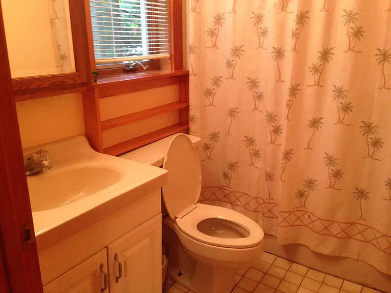 clean, basic bathroom