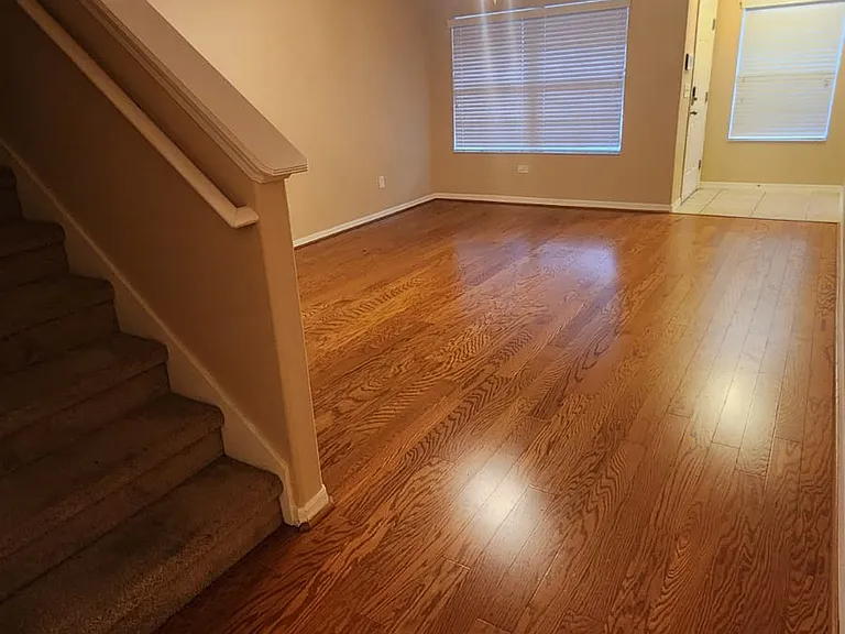 372 Carina Cir — Photo 16