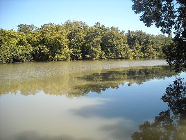 1st image of 302 Meadow Lake Dr