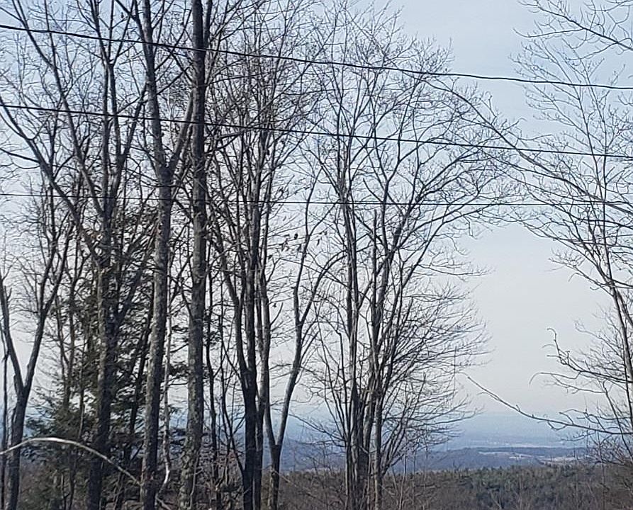 2nd image of 86 Blueberry Ridge Rd