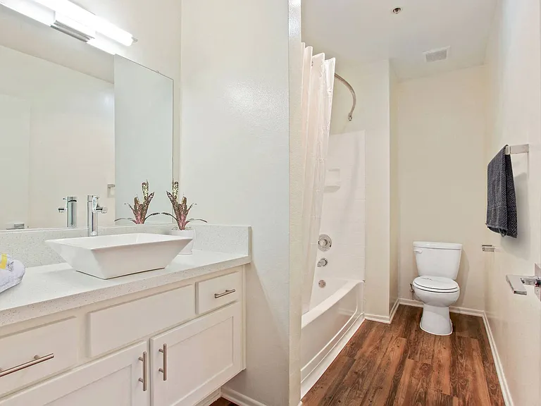 Palm Royale Apartments — Photo 13