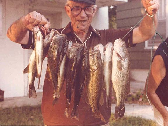Fish from Artesian fed pond