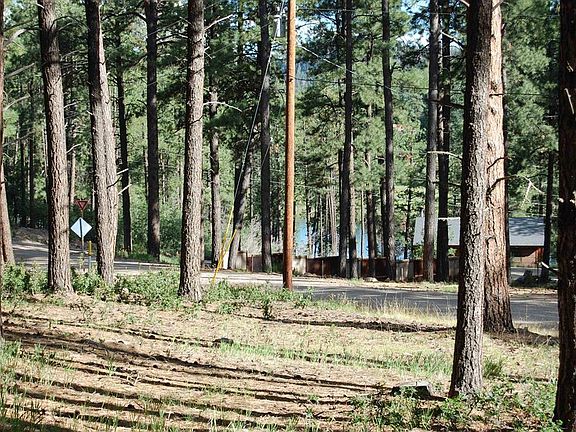 3rd image of 263 E Forest Lakes Drive