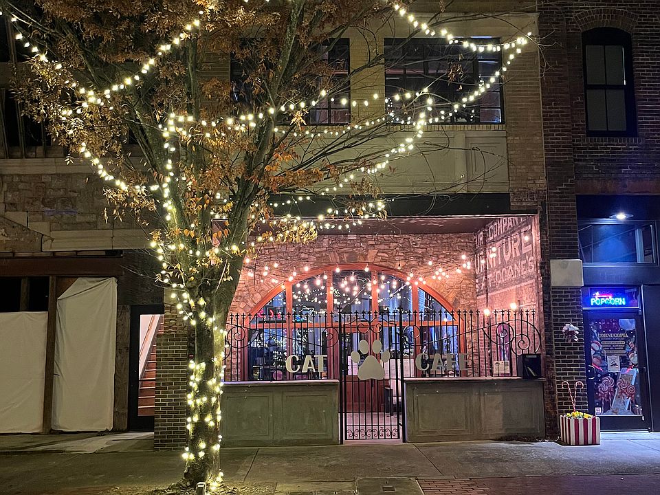 Exterior view; loft is upstairs directly over the cat cafe; lighted staircase up to loft can be seen on the left