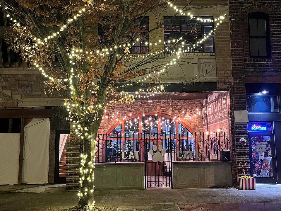 Exterior view; loft is upstairs directly over the cat cafe; lighted staircase up to loft can be seen on the left