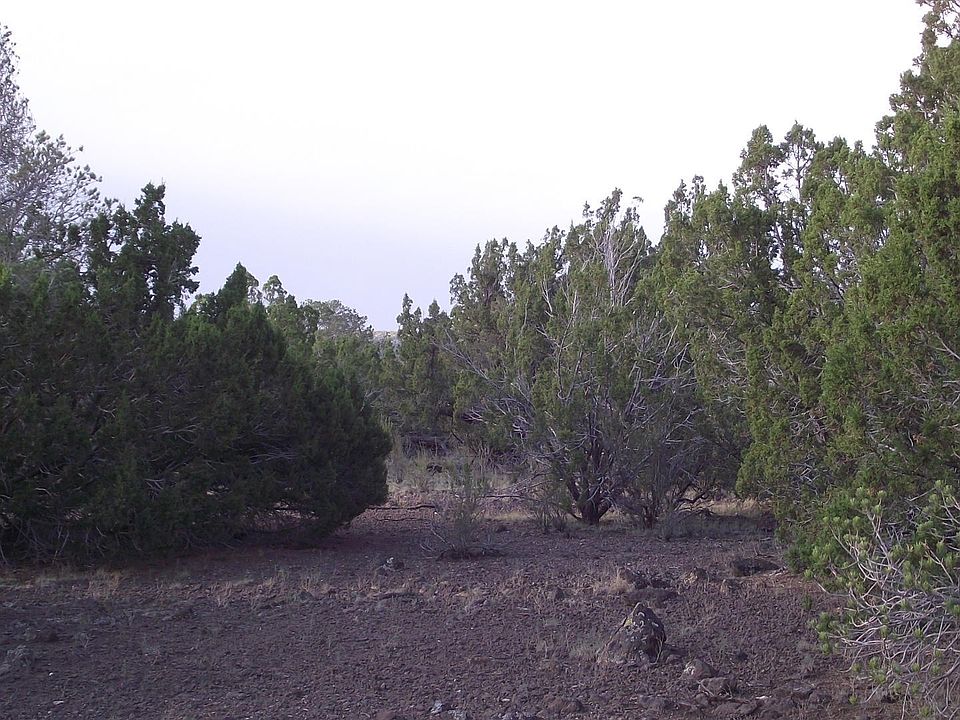 2nd image of 1057 E Antler Ln #539