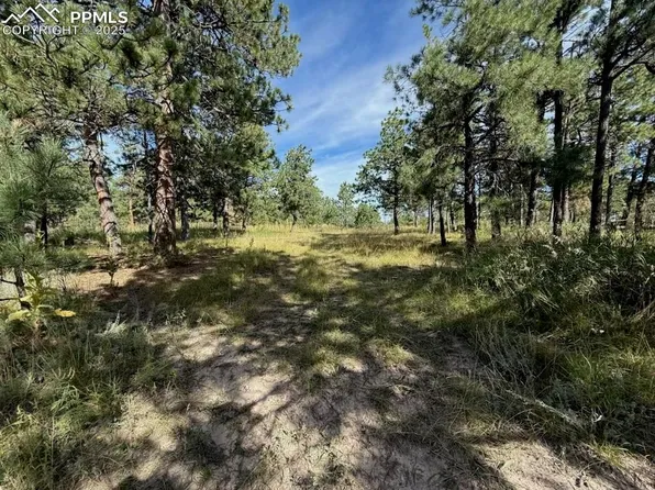 17435 E Goshawk Rd, Colorado Springs, CO 80908