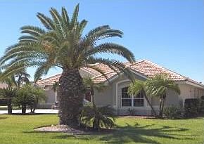 Huge Yard, Lake w/Fountain in Front 