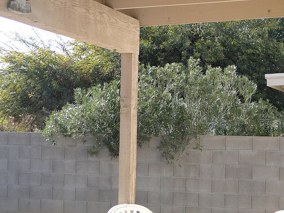 5th image of 7325 W Mesquite River Dr