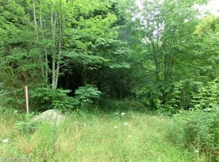 99999 Hemlock Ln, Leicester, NC 28748