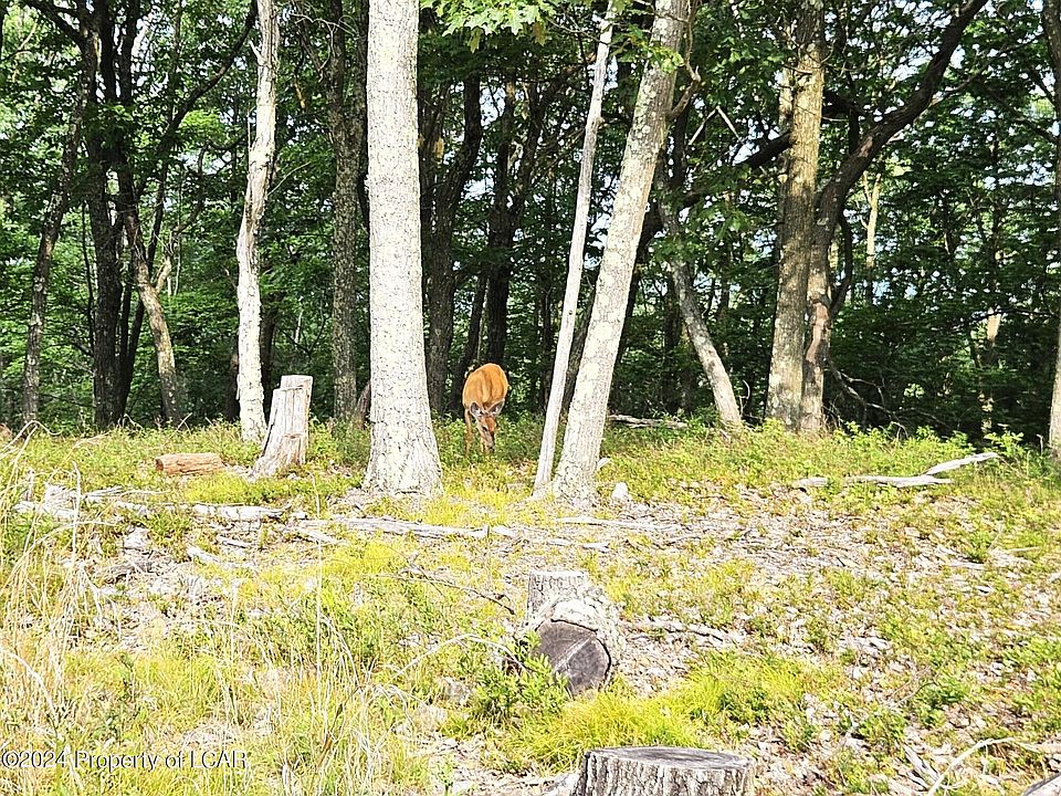 1st image of Nr Lot 207