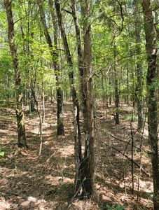0 Youngs Mill Rd, Kingston, GA, 30145