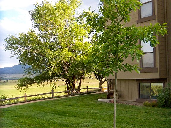 (shared) side yard