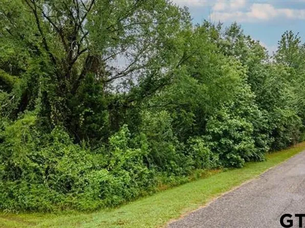 43 A Cres #3009, Frankston, TX 75763