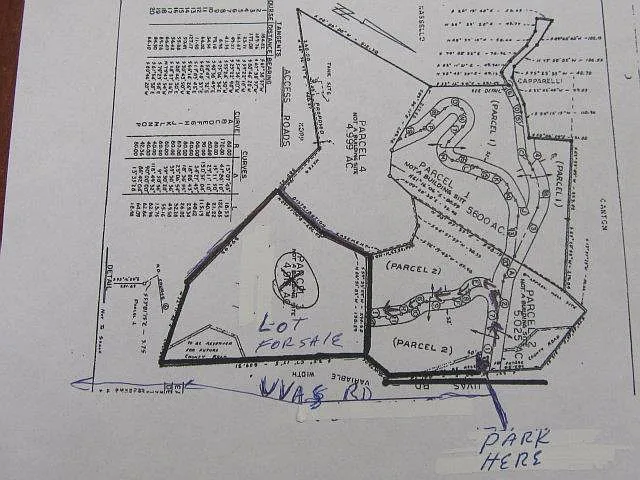 15805 Uvas Rd photo 1