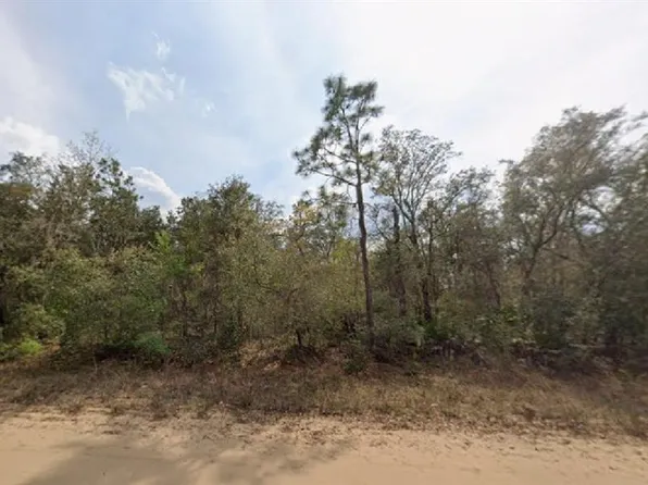 Osborne St Lot 1, Interlachen, FL 32148