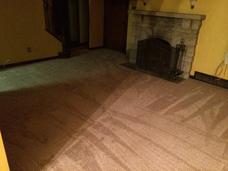 New Carpet