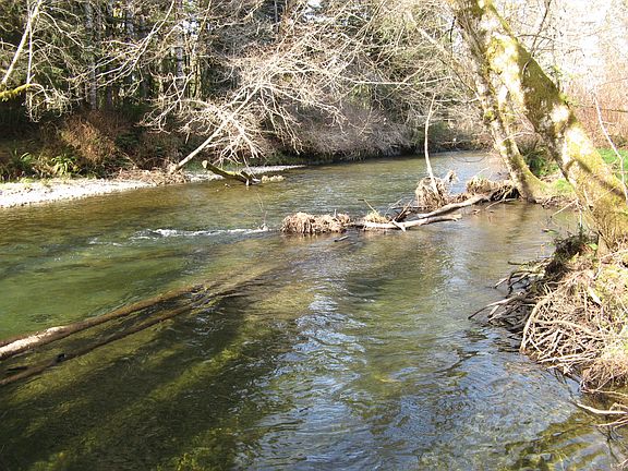 2nd image of 691 W Chucklebrook Ln
