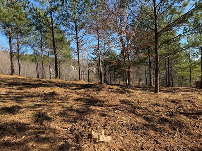 14 Turkey Run, Flintstone, GA, 30725