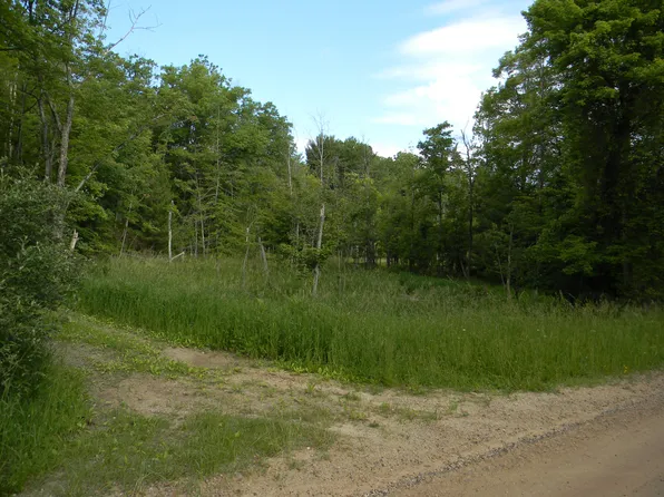 N Peterson Rd, Ludington, MI 49431