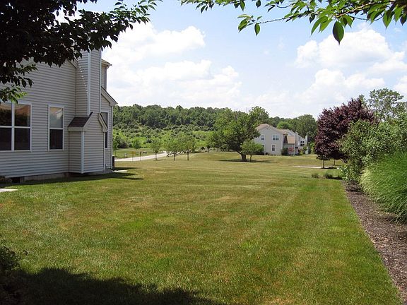 Open, level backyard