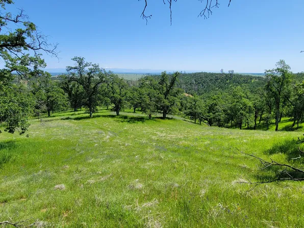 LOT 114 Roaring Creek Rd, Igo, CA 96047