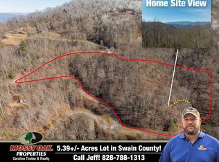 64 Grizzly Rdg, Bryson City, NC 28713