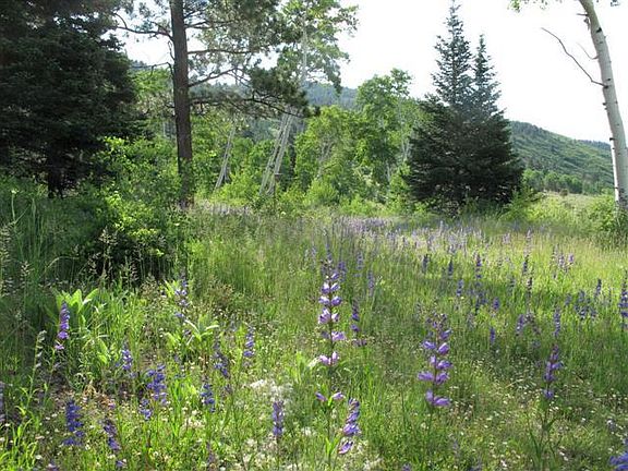 3rd image of 4990 County Road 442