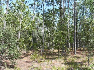 SE 136th Ave LOT 38, Dunnellon, FL, 34431