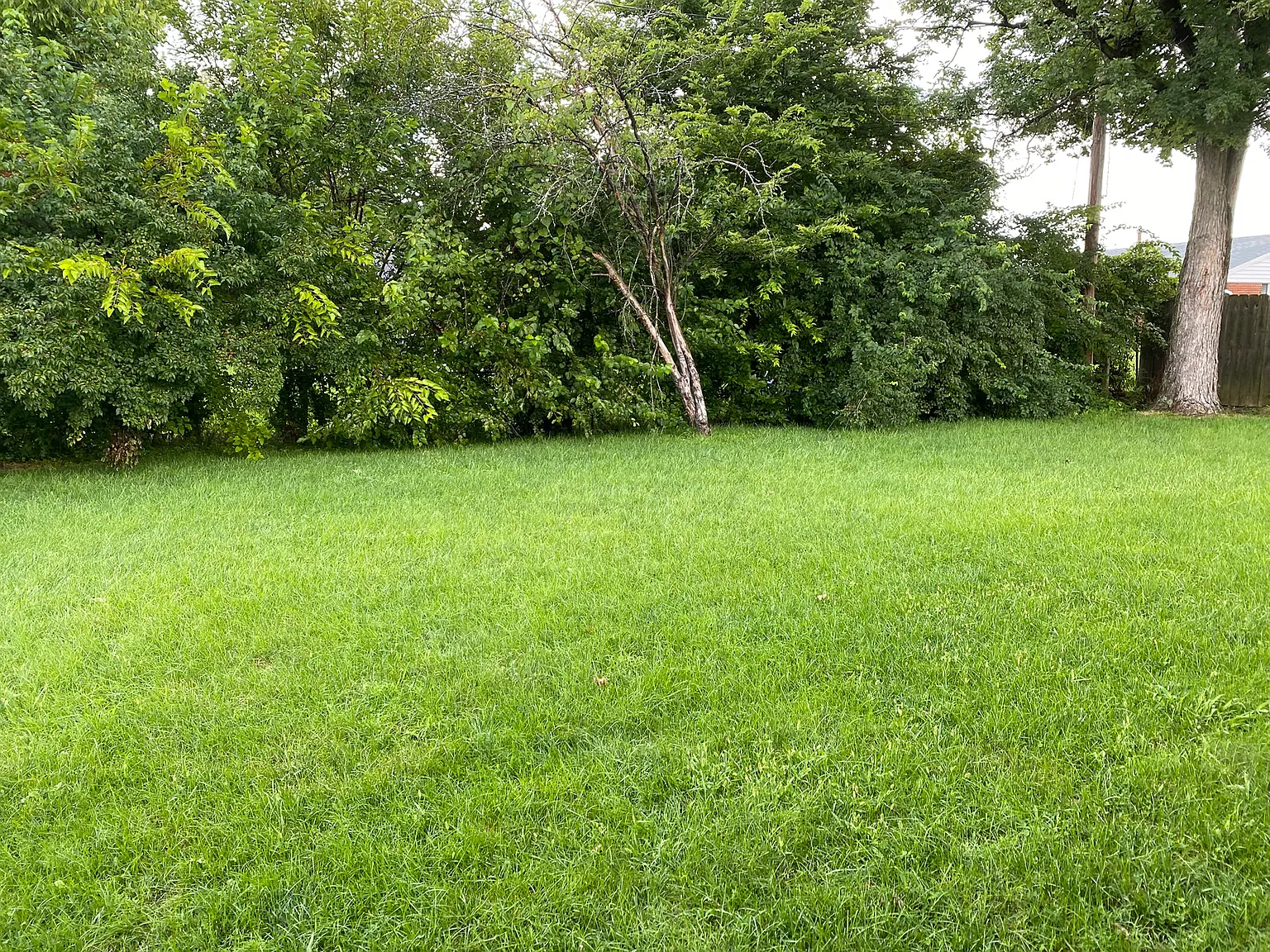 3 bed, 999 sqft, $1,200 — Photo 3