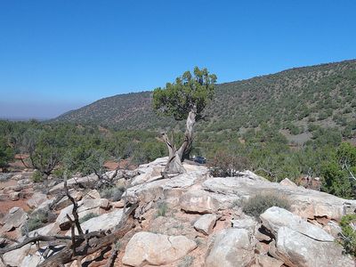 9591 Privette Trl, Snowflake, AZ, 85937