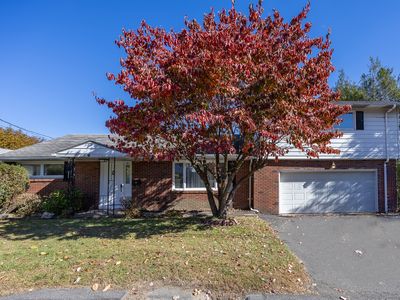 81 Esther Avenue, Waterbury, CT, 06708