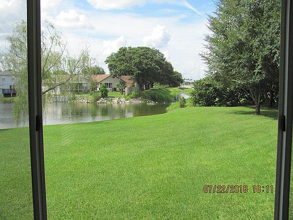 Back Yard View From House