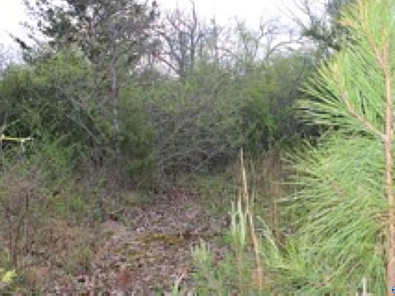 3rd image of 323/ACRE S County Rd #52