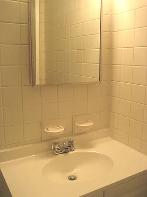 Rented by Corcoran | media 11