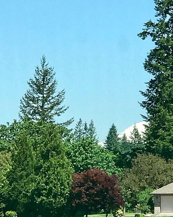 1st image of 25517 NE 74th Ct