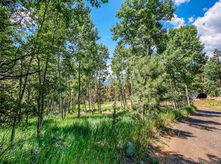 12286 Styve Rd, Conifer, CO 80433