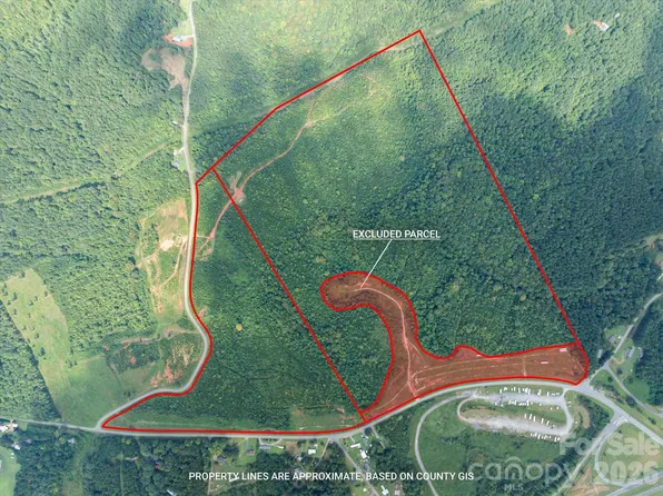 Pea Ridge Rd, Mill Spring, NC 28756